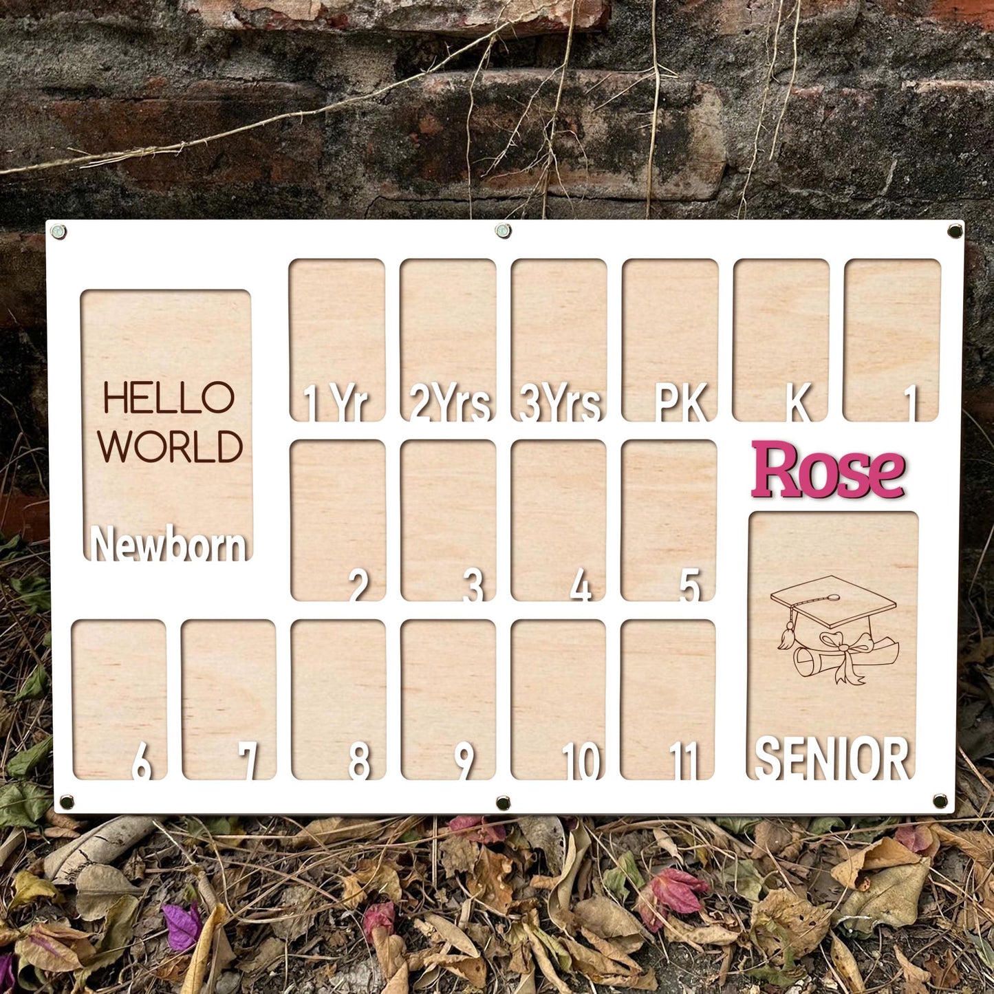 Custom Birth To Graduation School Years Photo Frame, Birth To Senior School Picture Frame, Pre K To Grad Kindergarten To Grad School Frame