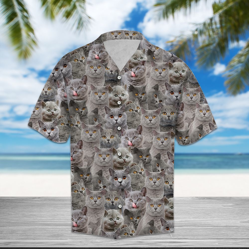 British Shorthair Awesome Hawaiian Shirt, Grey Cat Aloha Shirts, Summer Short Sleeve Shirts
