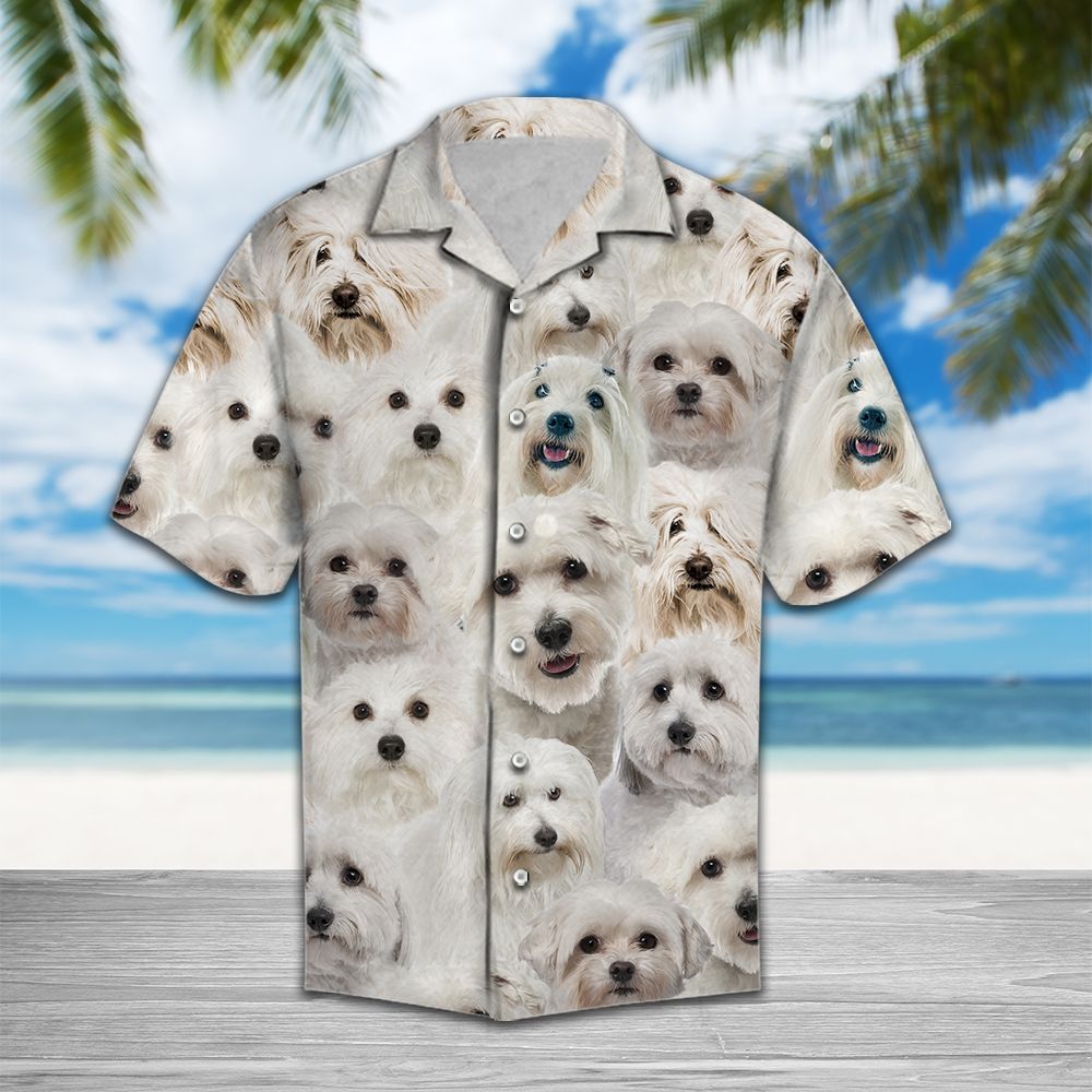 Cute Coton de Tul�ar Hawaiian Shirt, Fluffy Dog Aloha Shirts, Summer Short Sleeve Shirts