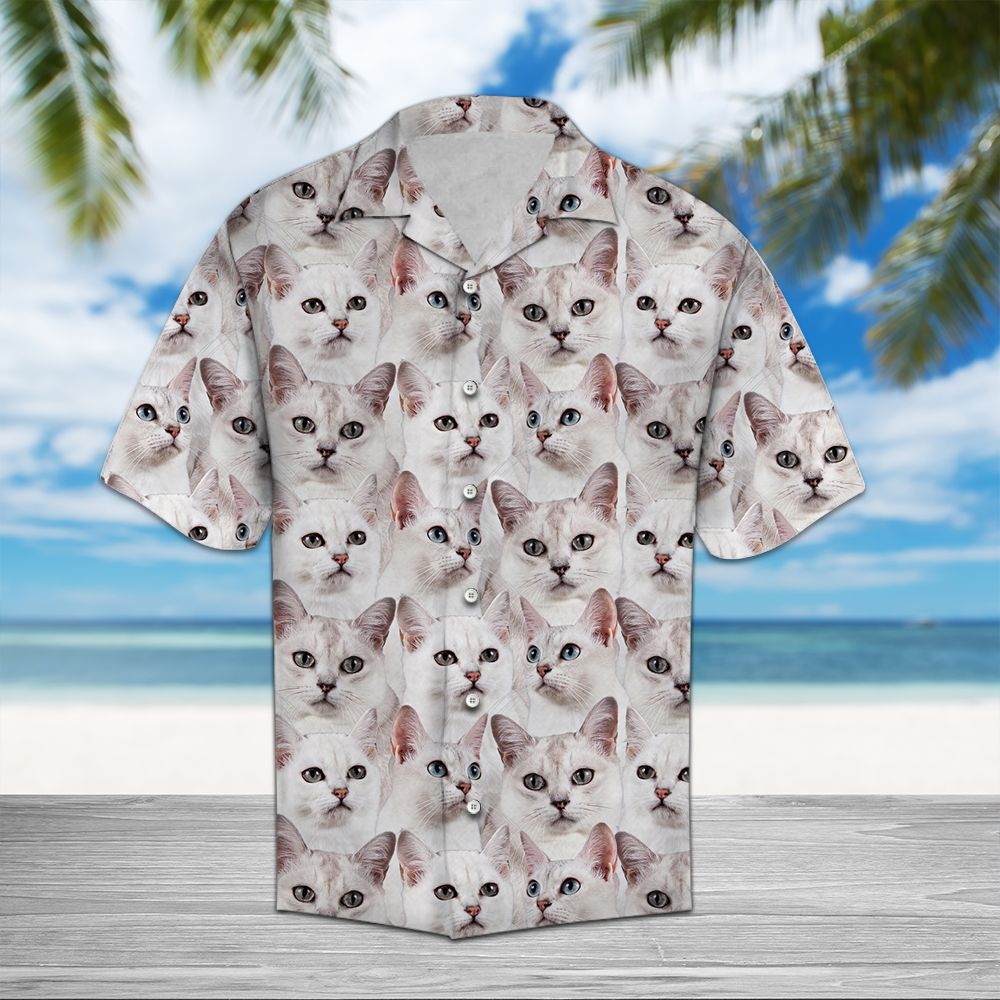 Burmilla Awesome Hawaiian Shirt, Cute Cat Aloha Shirts, Summer Short Sleeve Shirts