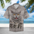 British Shorthair Great Hawaiian Shirt, Summer Short Sleeve Shirts, British Cat Aloha Shirts